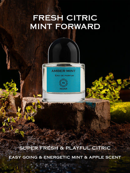 AMBER MINT