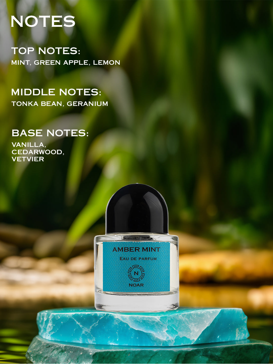 AMBER MINT